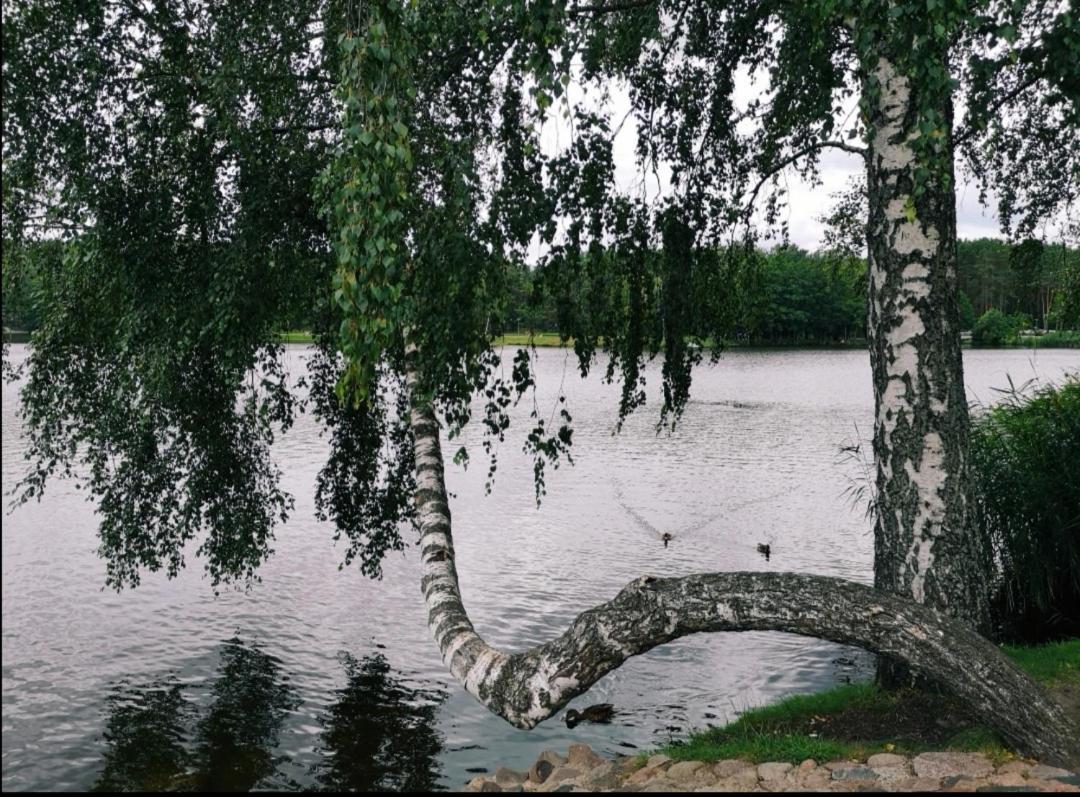 Aguona Apartament Daire Druskininkai Dış mekan fotoğraf