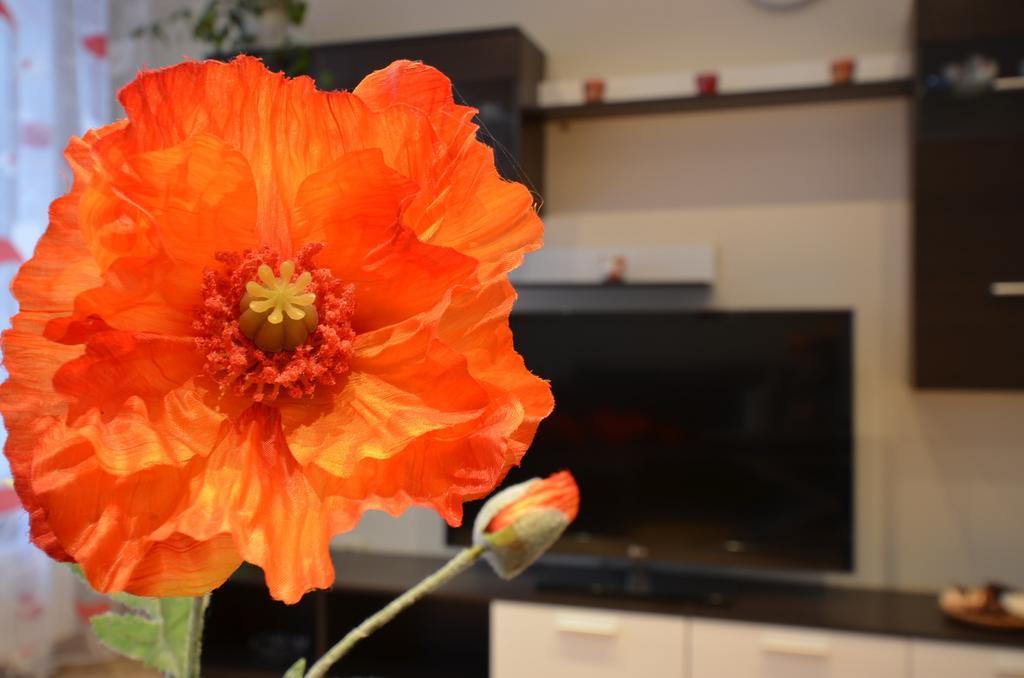 Aguona Apartament Daire Druskininkai Dış mekan fotoğraf